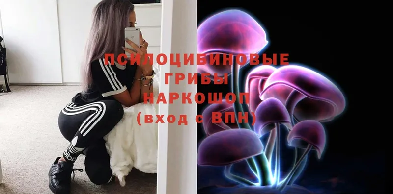 Галлюциногенные грибы MAGIC MUSHROOMS  shop формула  Костомукша 